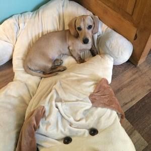 Meet your Posher, Kerri